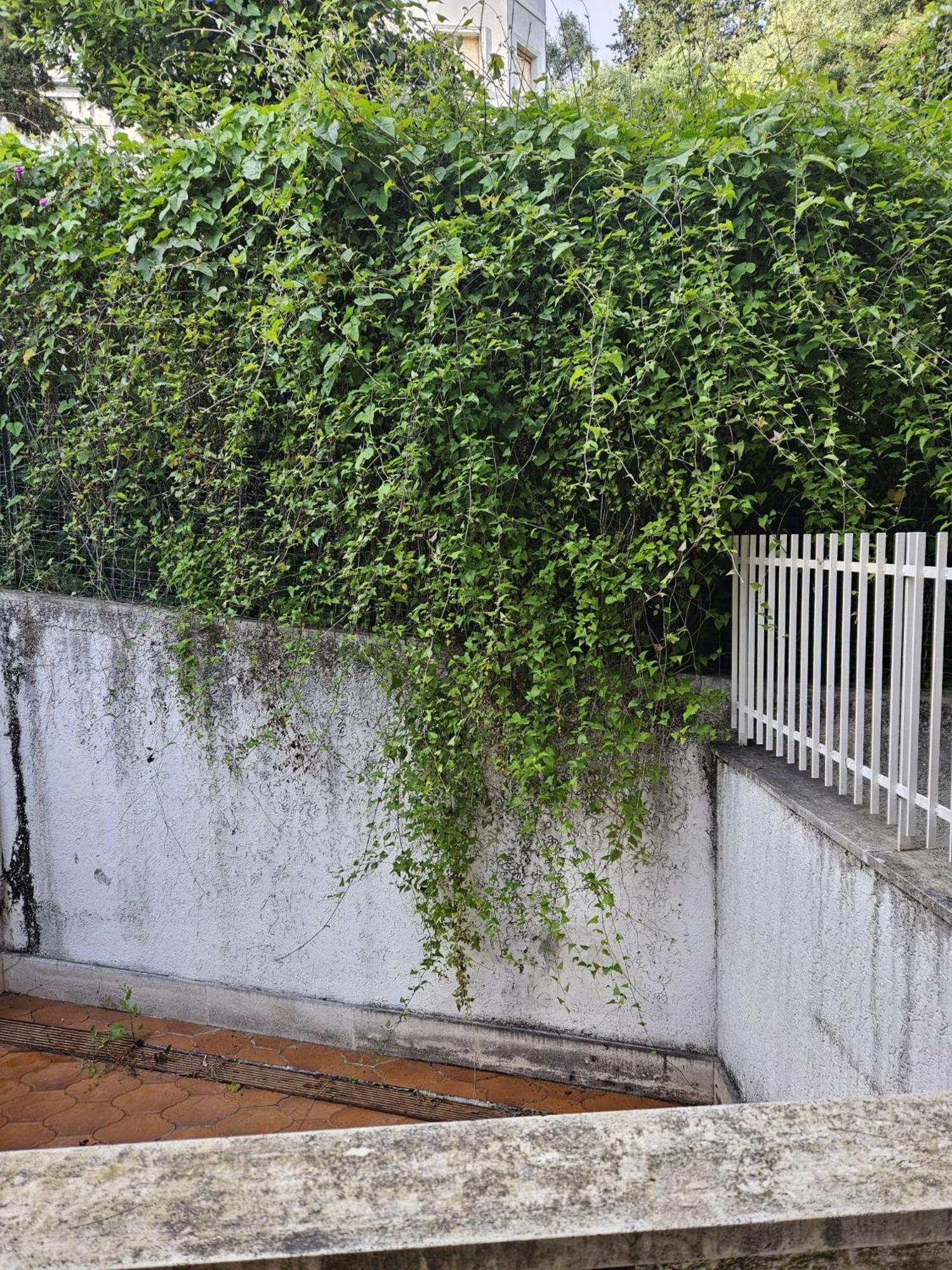 Carola Apartamento